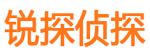 雁峰捉小三公司